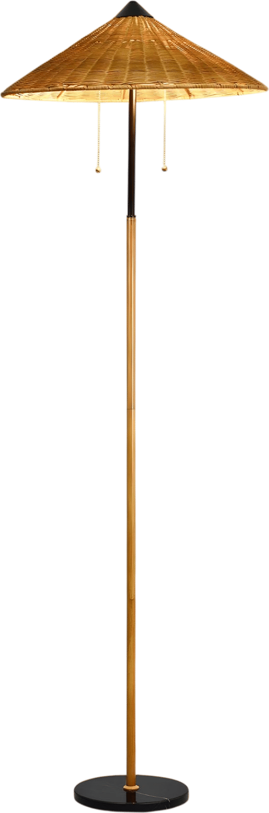Rattan and Metal Floor Lamp