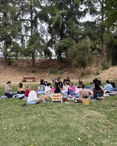 Anti Social Knit Club Los Angeles