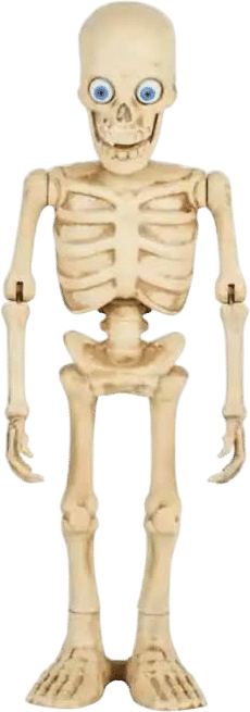 Buying your kid a skeleton friend