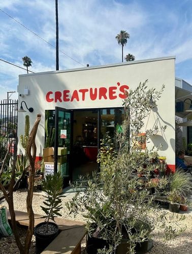Creatures plants and coffee