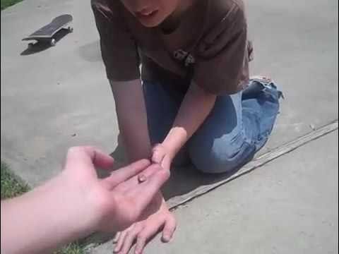 damn ass rock