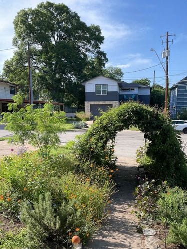 Grow a Pollinator Garden 🌼