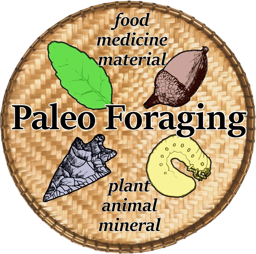 Paleo Foraging (YouTuber)