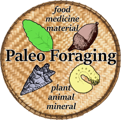 Paleo Foraging