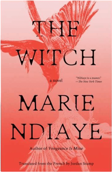 The Witch (Marie NDiaye)