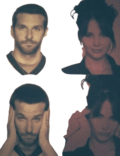 Silver Linings Playbook