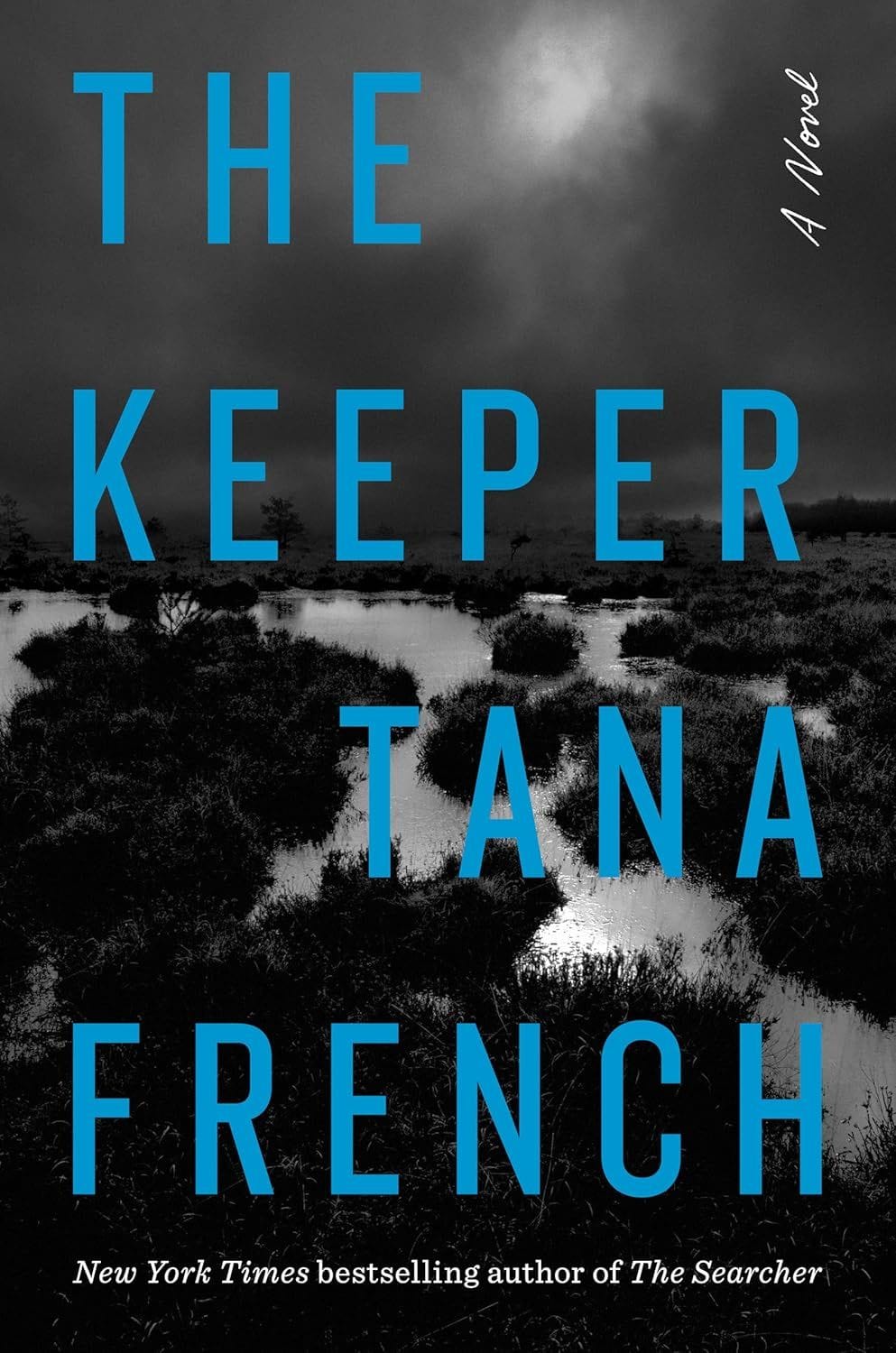 the keeper Tana French