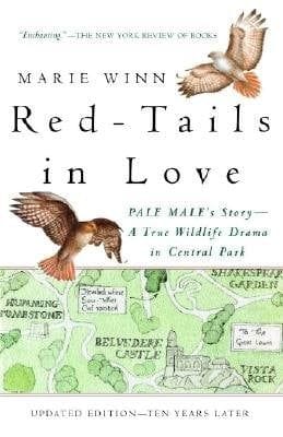 Red-Tails in Love (Marie Winn)