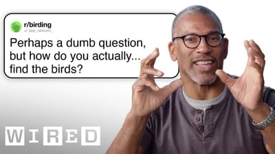 Professional Birder Answers Birding Questions