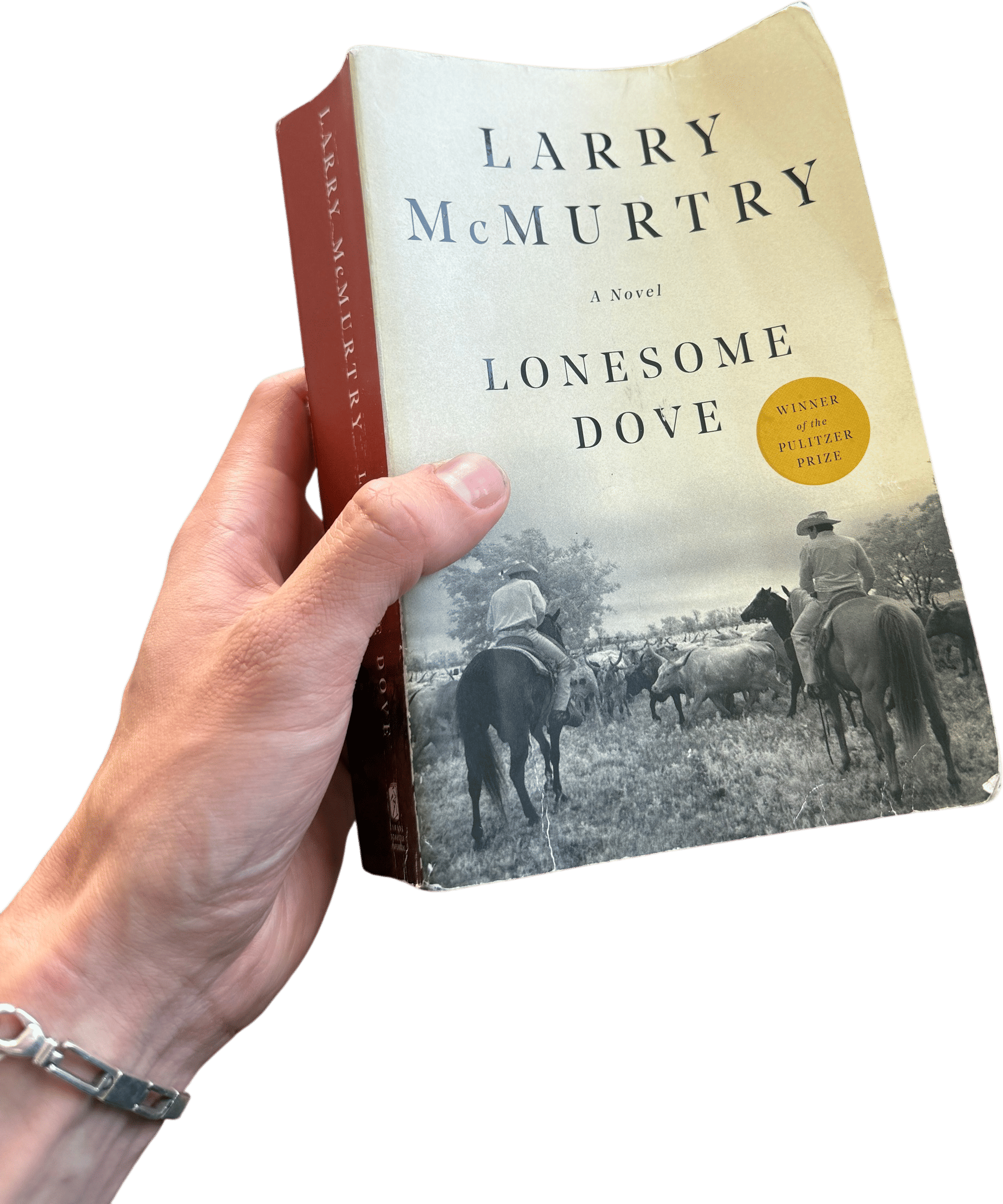 Lonesome Dove by Larry McMurtry