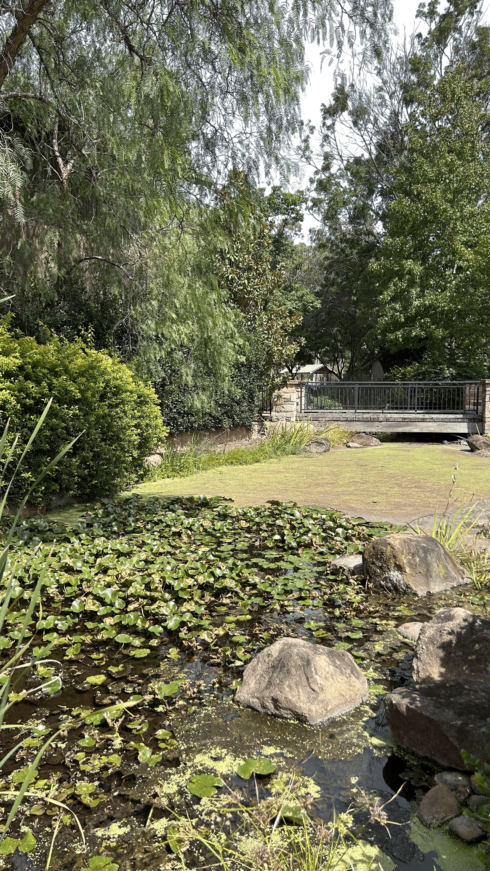 Hunter Valley village walks in ‘autumn’