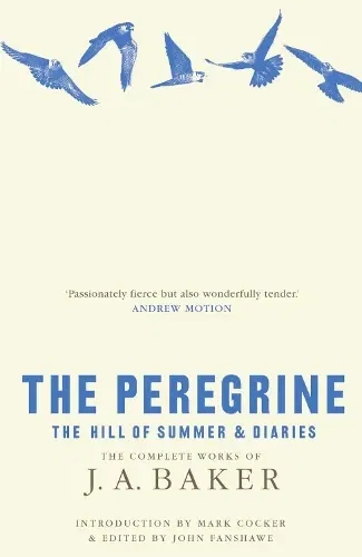 The Peregrine