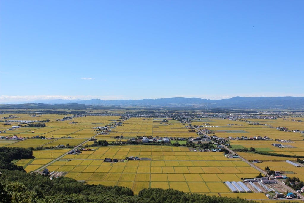 Hokkaido Yumepirika Rice (2025 Crop)