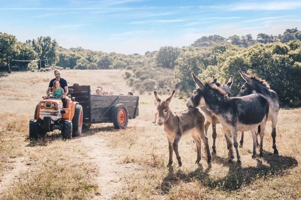 ~ Country Kids | Family Resort South of France | Unique Stay