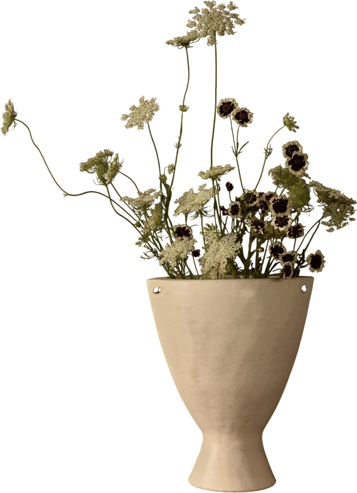 Kloris No.3 (Field Studies Flora x Danny Kaplan Studio)