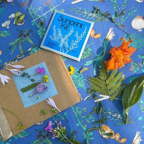 Sunprint Kit