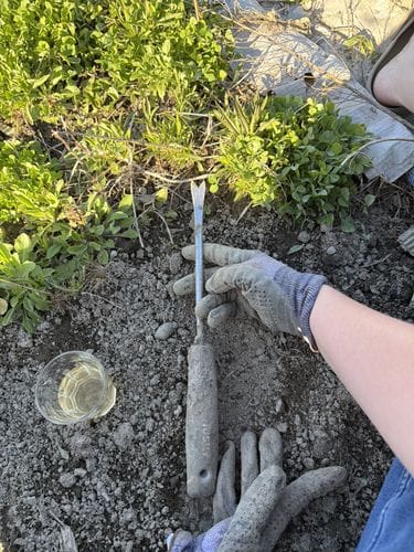 Dandelion Weeder