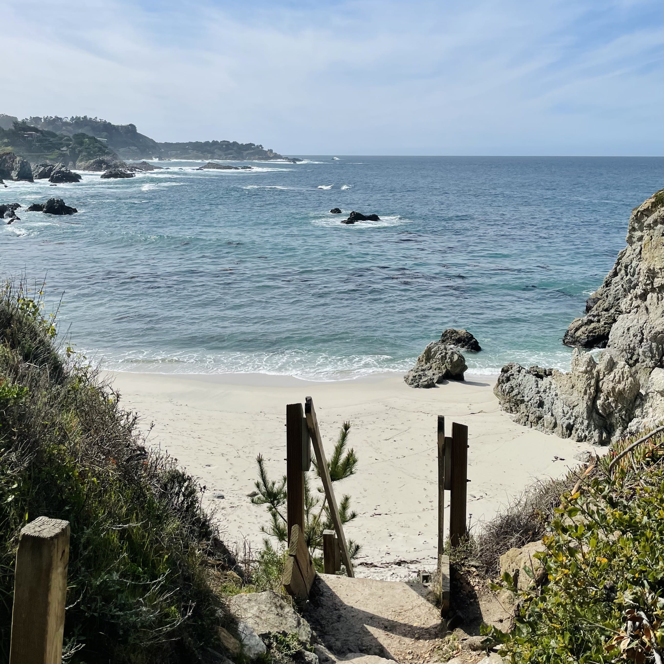 Point Lobos State Natural Reserve