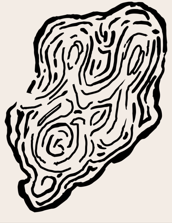 Oysters Menorca (Mahón)