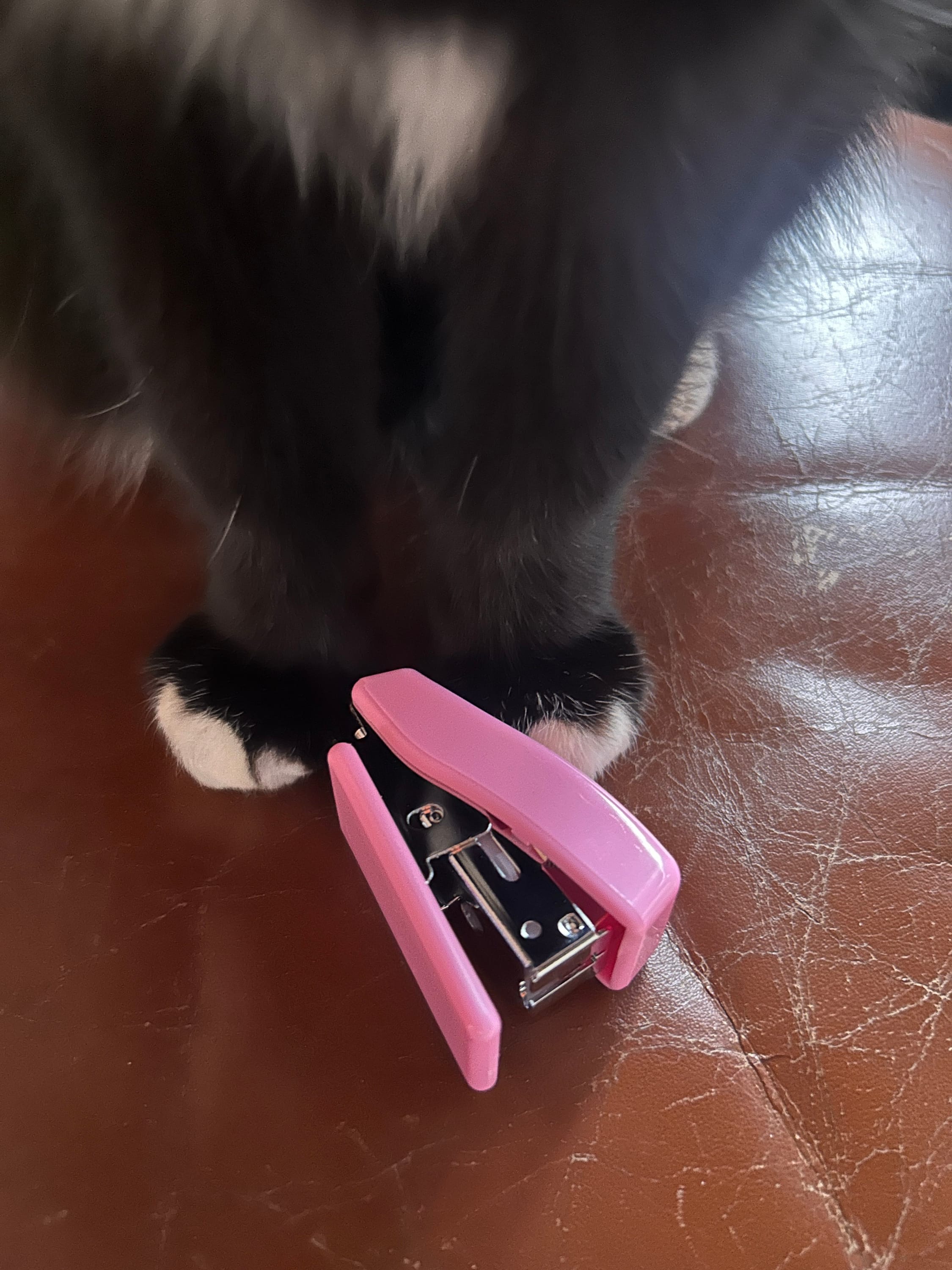 Tiny pink stapler