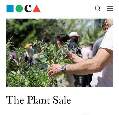 The Plant Sale at MOCA Geffen