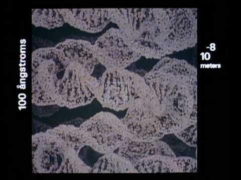 Powers of Ten (1977)