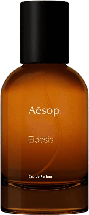 aesop eidesis