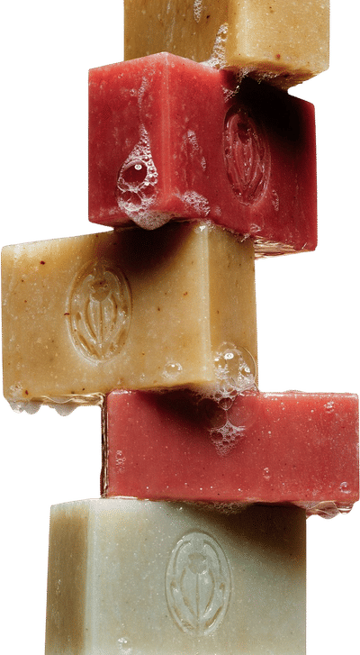 Botanical Bar Soap