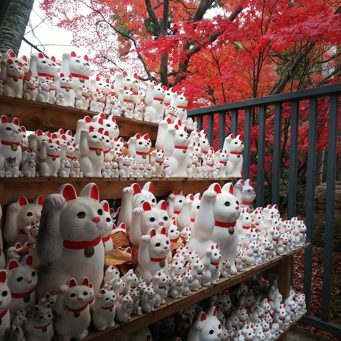 Gōtoku-ji Temple