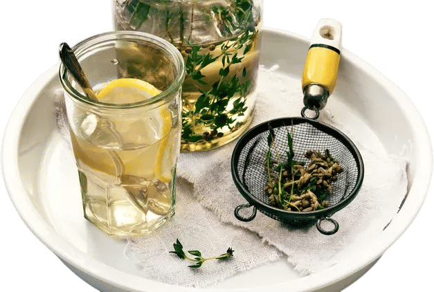 Thyme Tea Recipe
