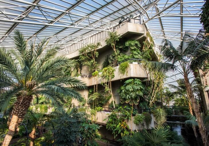 Barbican Conservatory