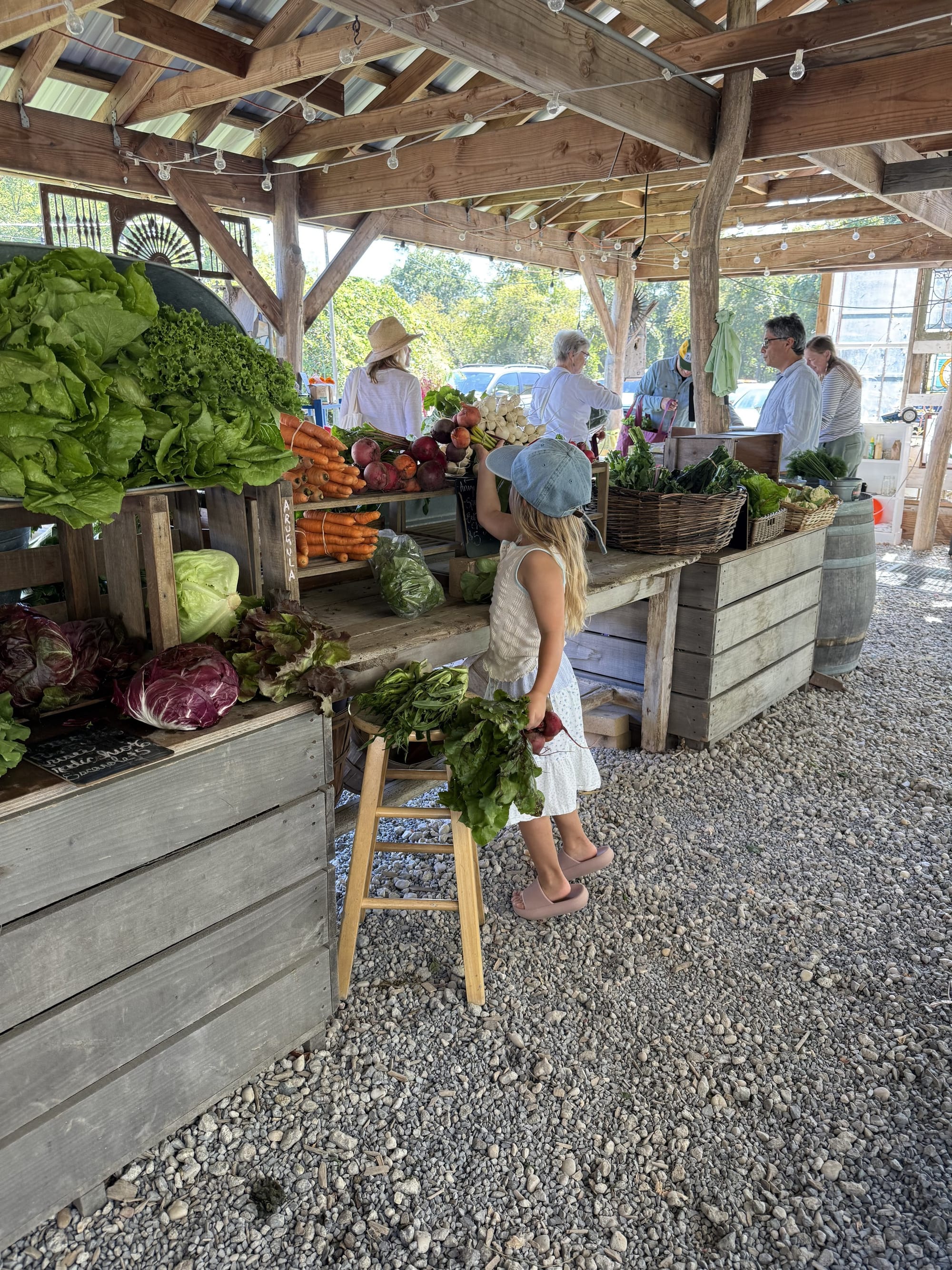 HOG Farm: Hamlet Organic Garden