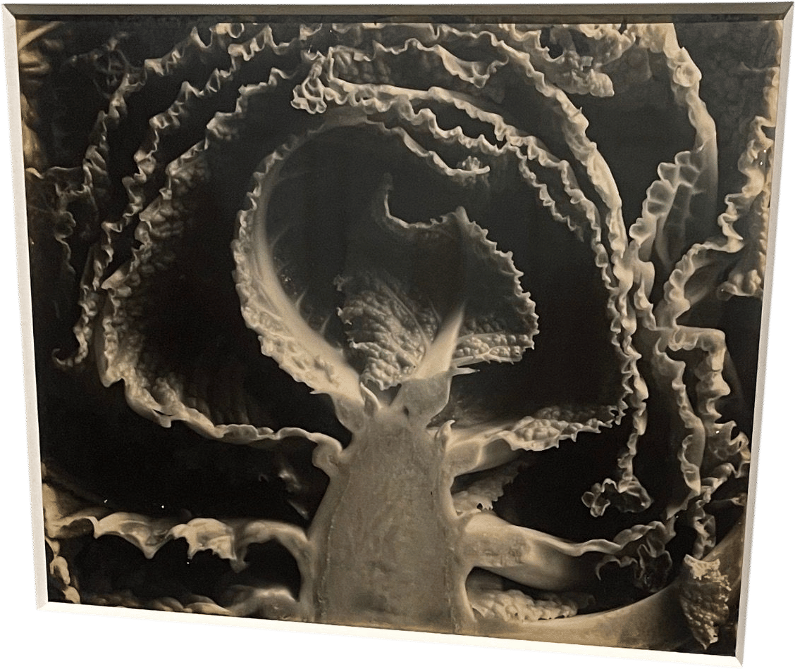 Edward Weston