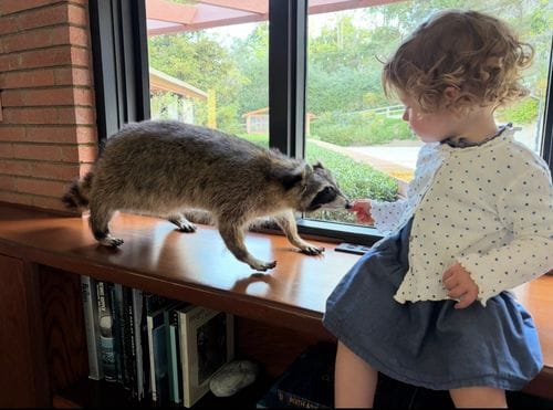 Western Sportsman Upcoming Auctions