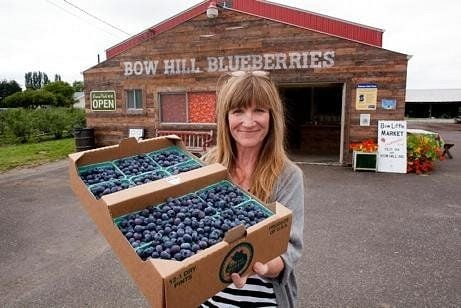 Bow Hill Blueberries