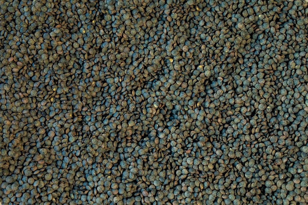 French-Style Green Lentils