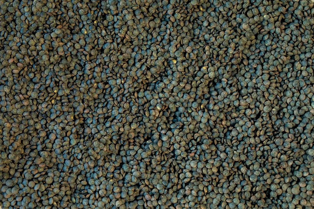 French-Style Green Lentils