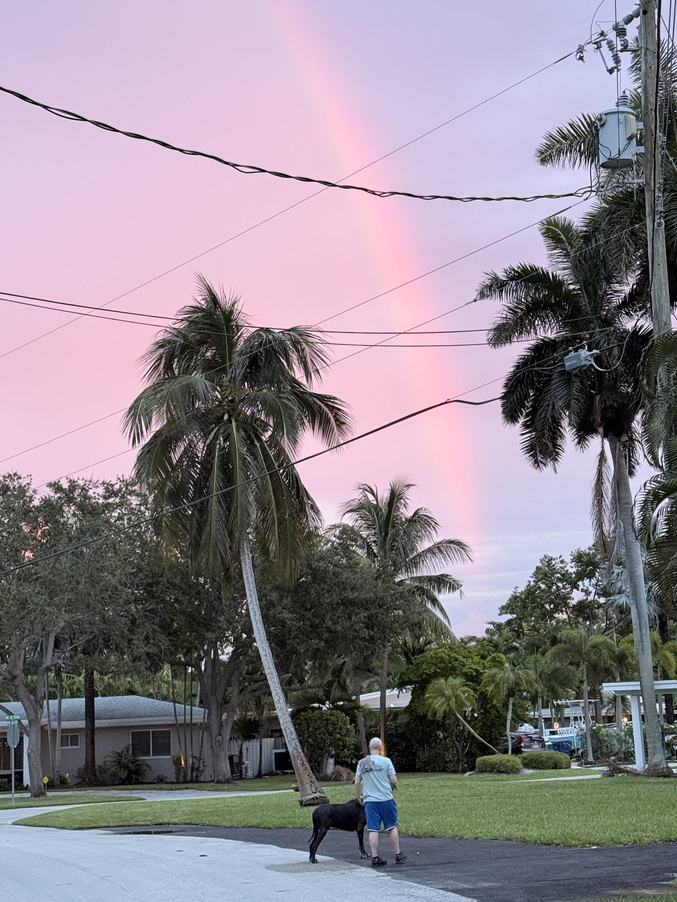rainbows