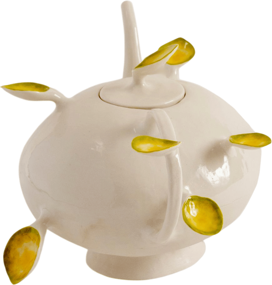 Isabel Rower Porcelain Tea Pot