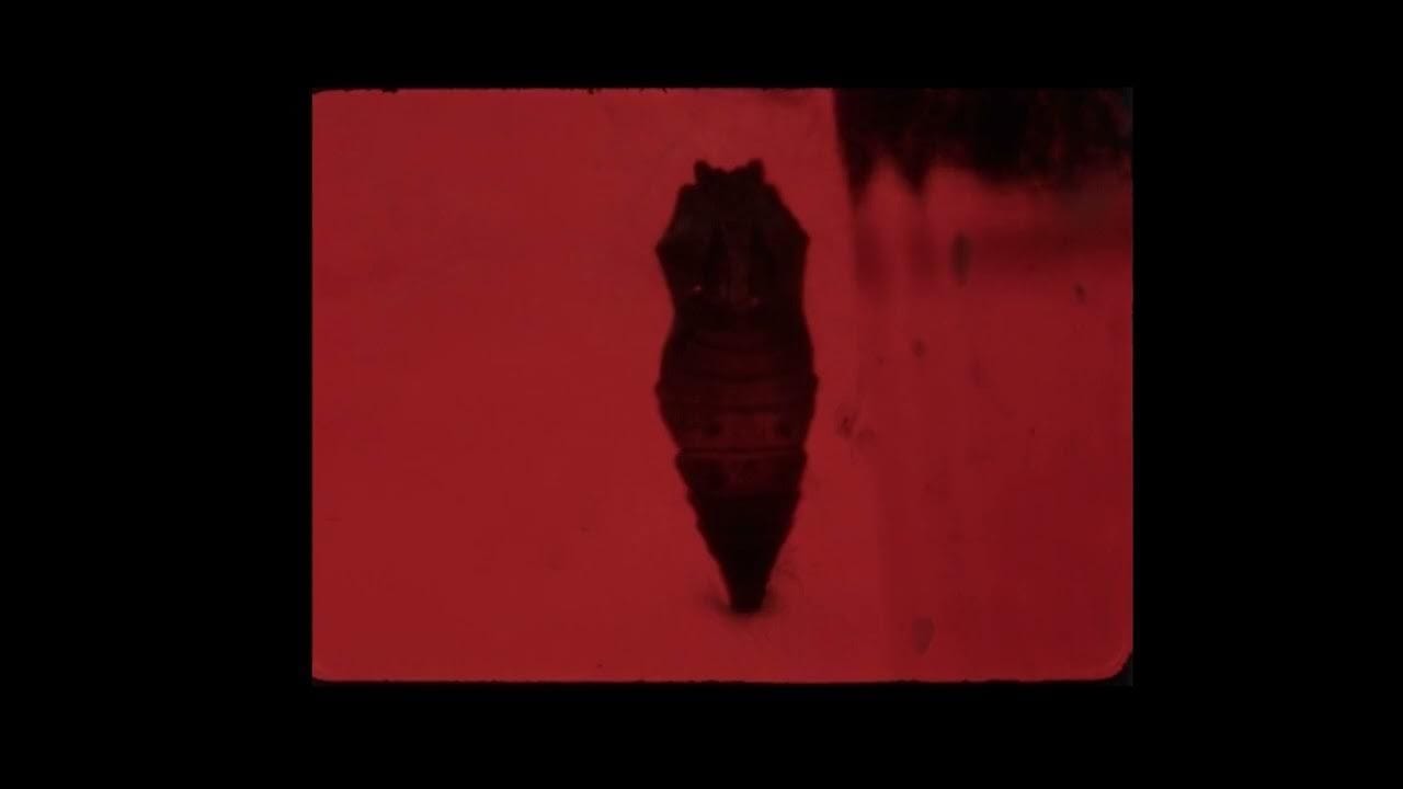 Divide and Dissolve 