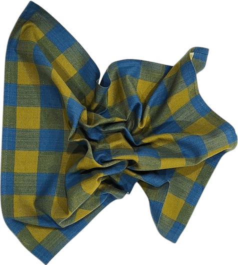 Big Gingham Napkin Pair