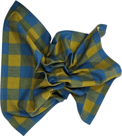 Big Gingham Napkins
