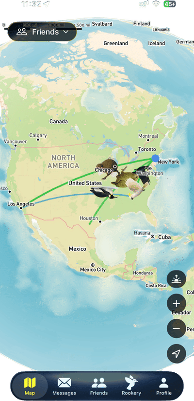 Roost App