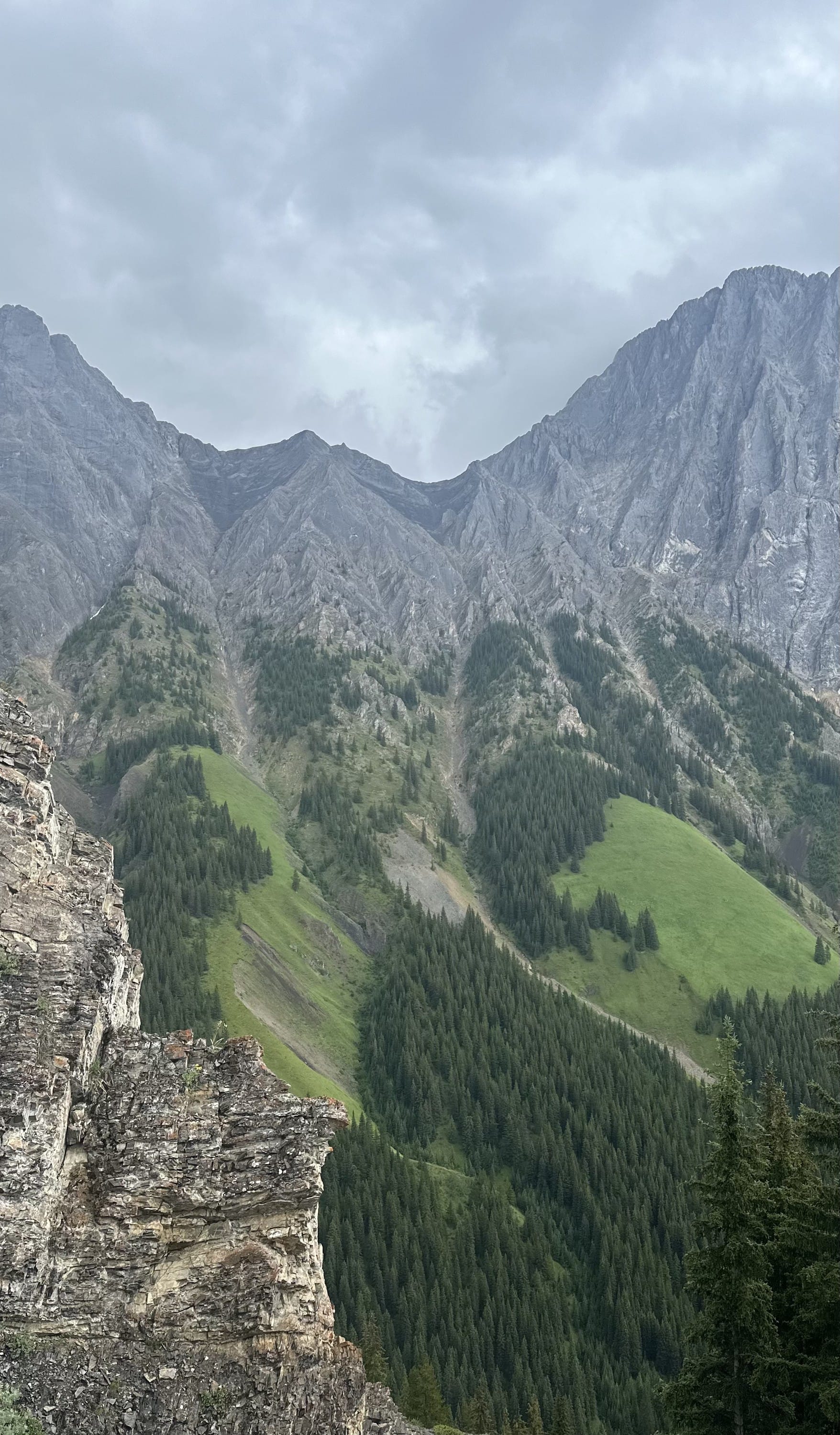 Kananaskis: King Creek Ridge