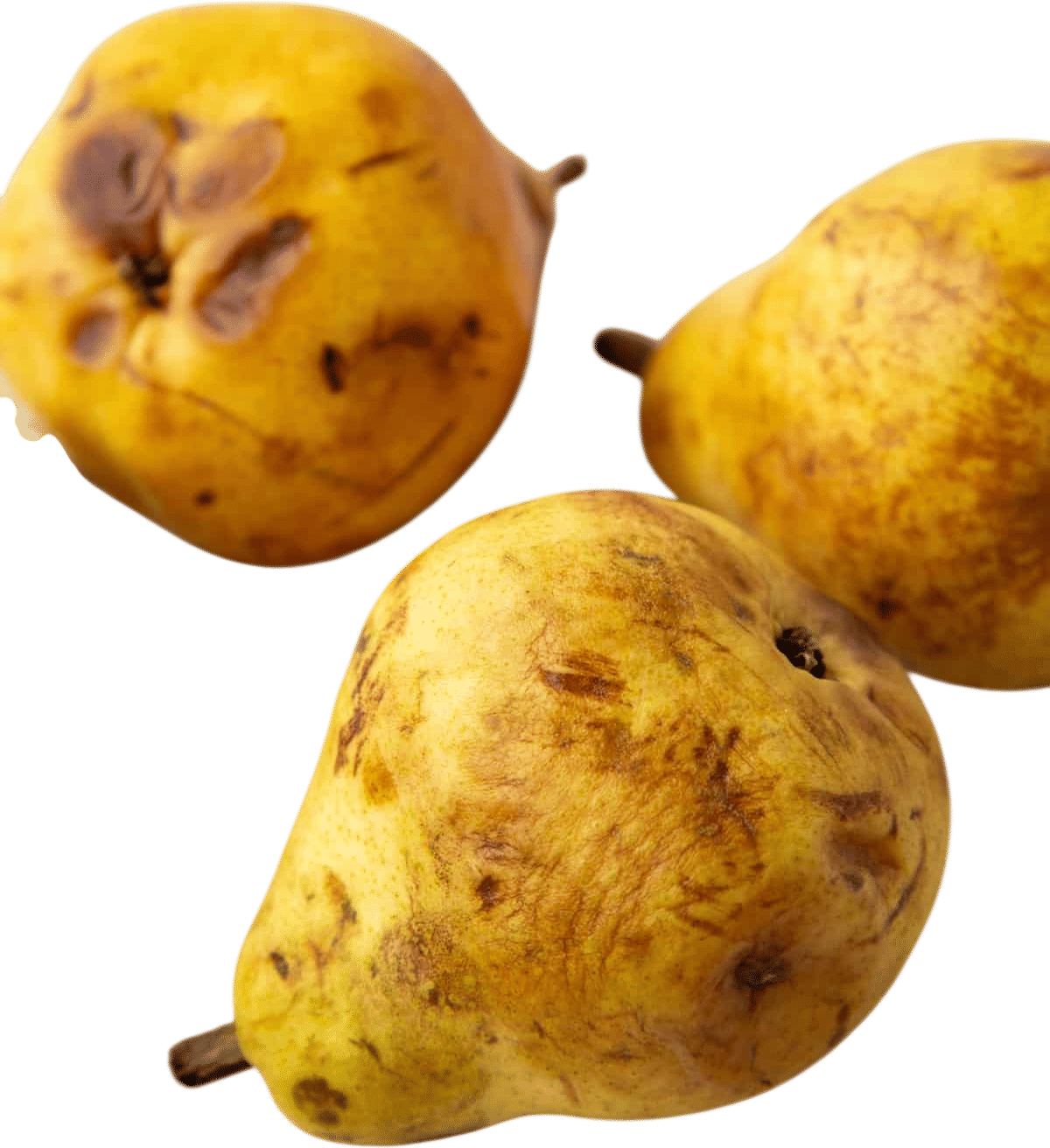 Pears in Slavic Folklore