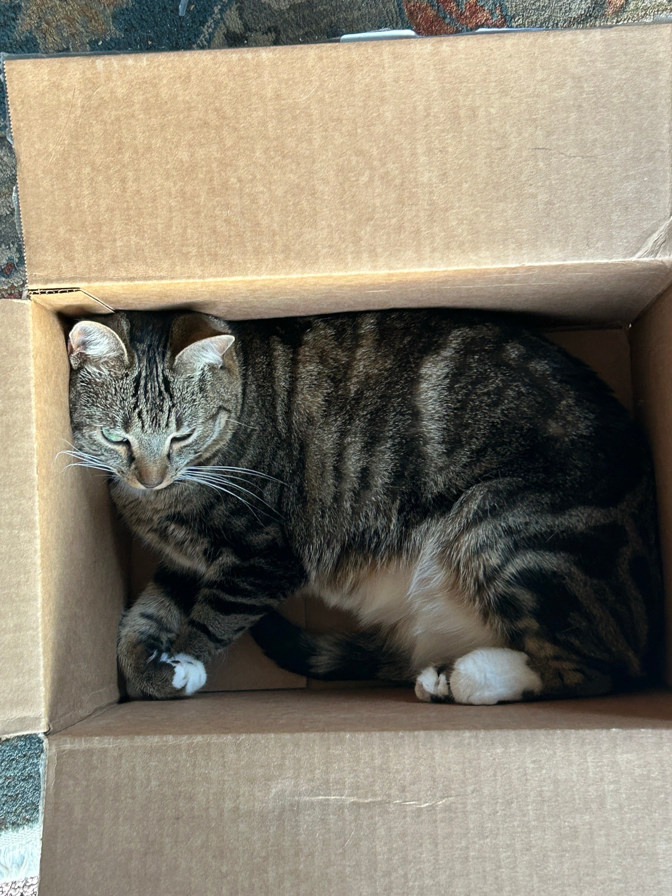 Label every box!