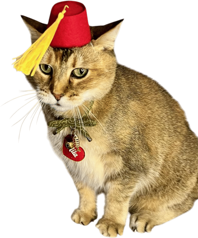Fez for your Cat