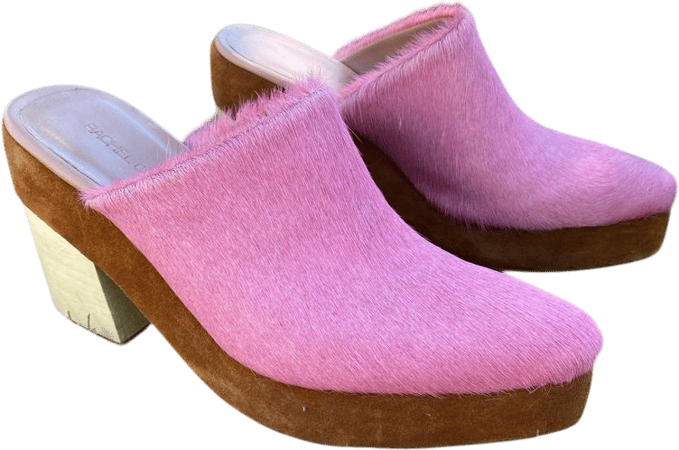 Rachel Comey Bandy Clog (7.5)