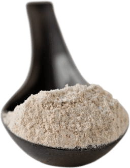 Rustic Red Fife Bread Flour