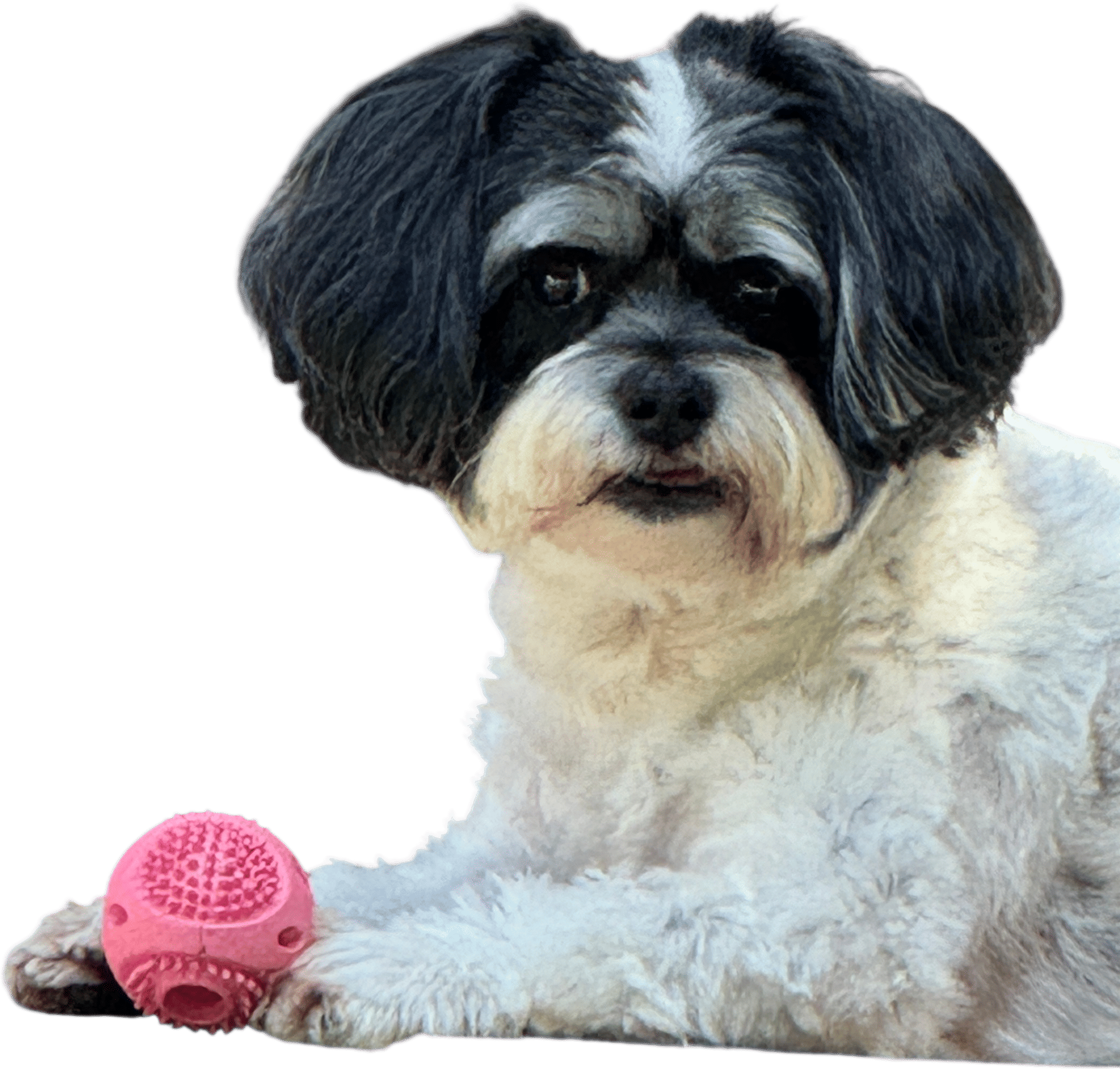 PETSLA Durable Squeaky Dog Balls for Small Dogs - Pink